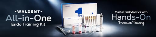 Waldent All-In-One Endo Training Kit