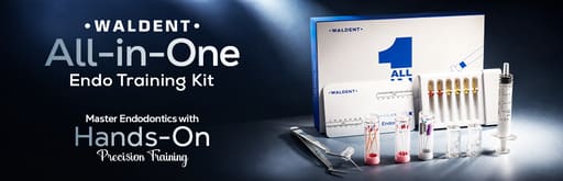 Waldent All-In-One Endo Training Kit