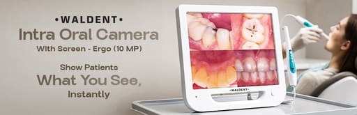 Waldent Intra Oral Camera with Screen - Ergo (10 MP)