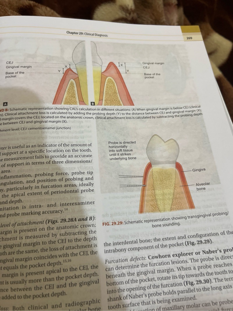 Review photo 2