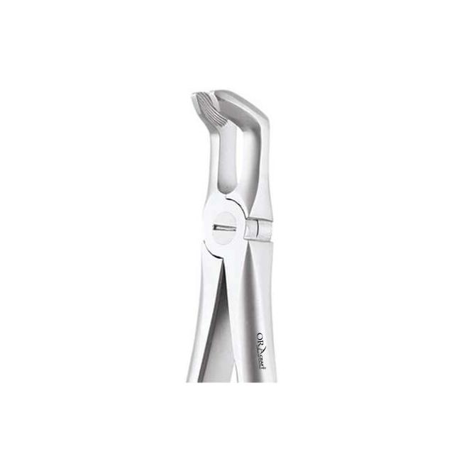 Oracraft Lower Third Molars Extraction Forceps - Premium (FX79P)