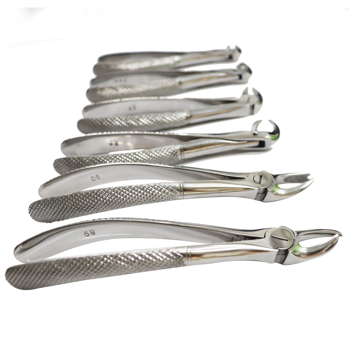 GII Tooth Extraction Forceps (Set Of 12)