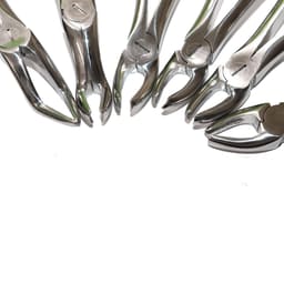 GII Tooth Extraction Forceps (Set Of 12) - 4