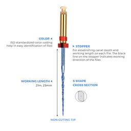 Waldent Flexiwave Reciprocating Files (21mm) - 8