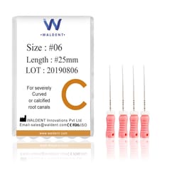 Waldent C File 25mm #6