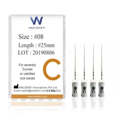 Waldent C File 25mm #8