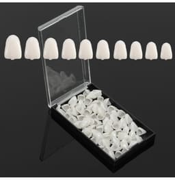 Endoking Preformed Temporary Crowns - 12