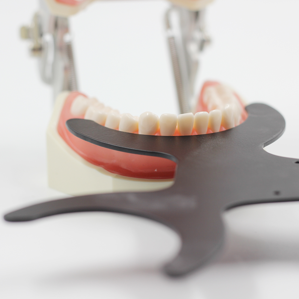 Julldent Contrastor for Dental Photography