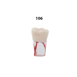 iDENTical Root Canal Treatment Practice Model - 106
