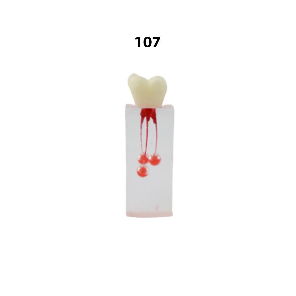 iDENTical Root Canal Treatment Practice Model - 107