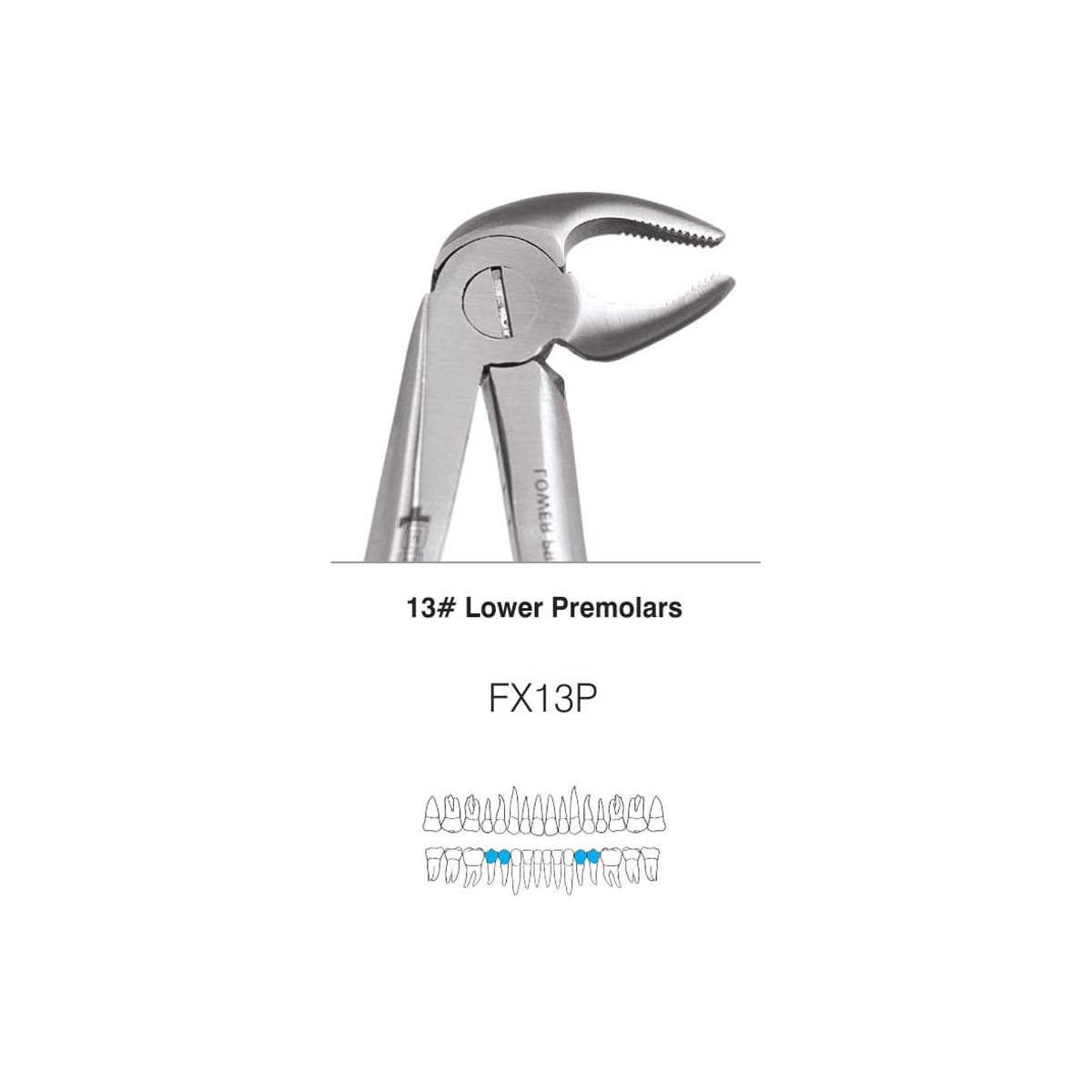GDC Extraction Forceps S/12 With Cassette Instruments Kit (EFPWC12)