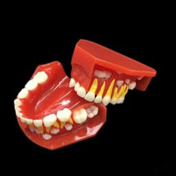 iDENTical Pediatric Development Model Age 3-6 M7011 - 14