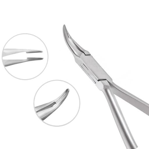 Koden Weingart Plier (Euphoria League)