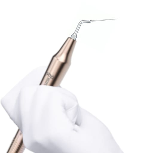 Woodpecker Scaler Tip ED6 for DTE & Satelec Scalers