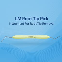 LM Root Tip Pick|Instrument For Root Tip Removal - 3