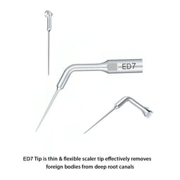 Woodpecker Scaler Tip ED7 for DTE & Satelec Scalers - 2