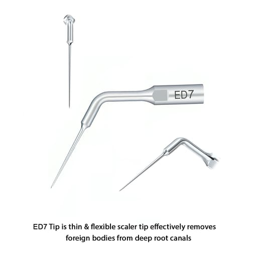 Woodpecker Scaler Tip ED7 for DTE & Satelec Scalers