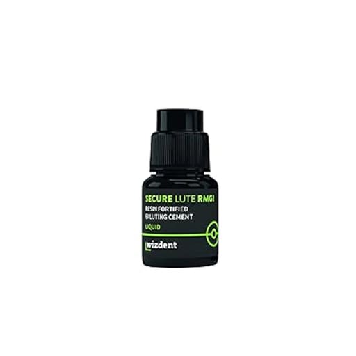 Wizdent Secure Lute RMGI Luting GIC Liquid