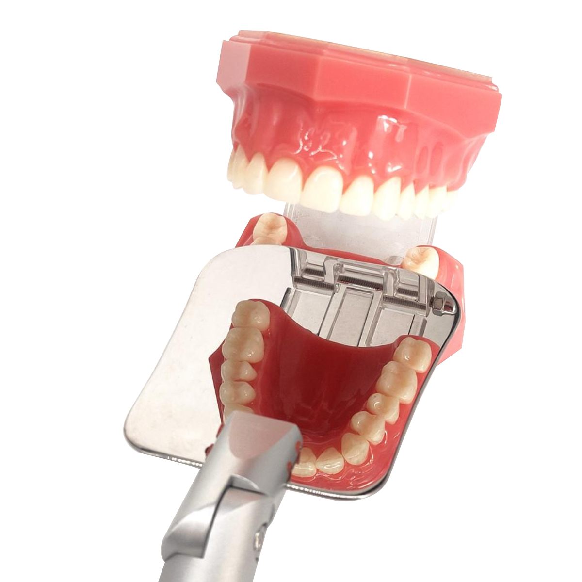 DDI Intraoral Photographic Glass Mirrors & Mirror Holder