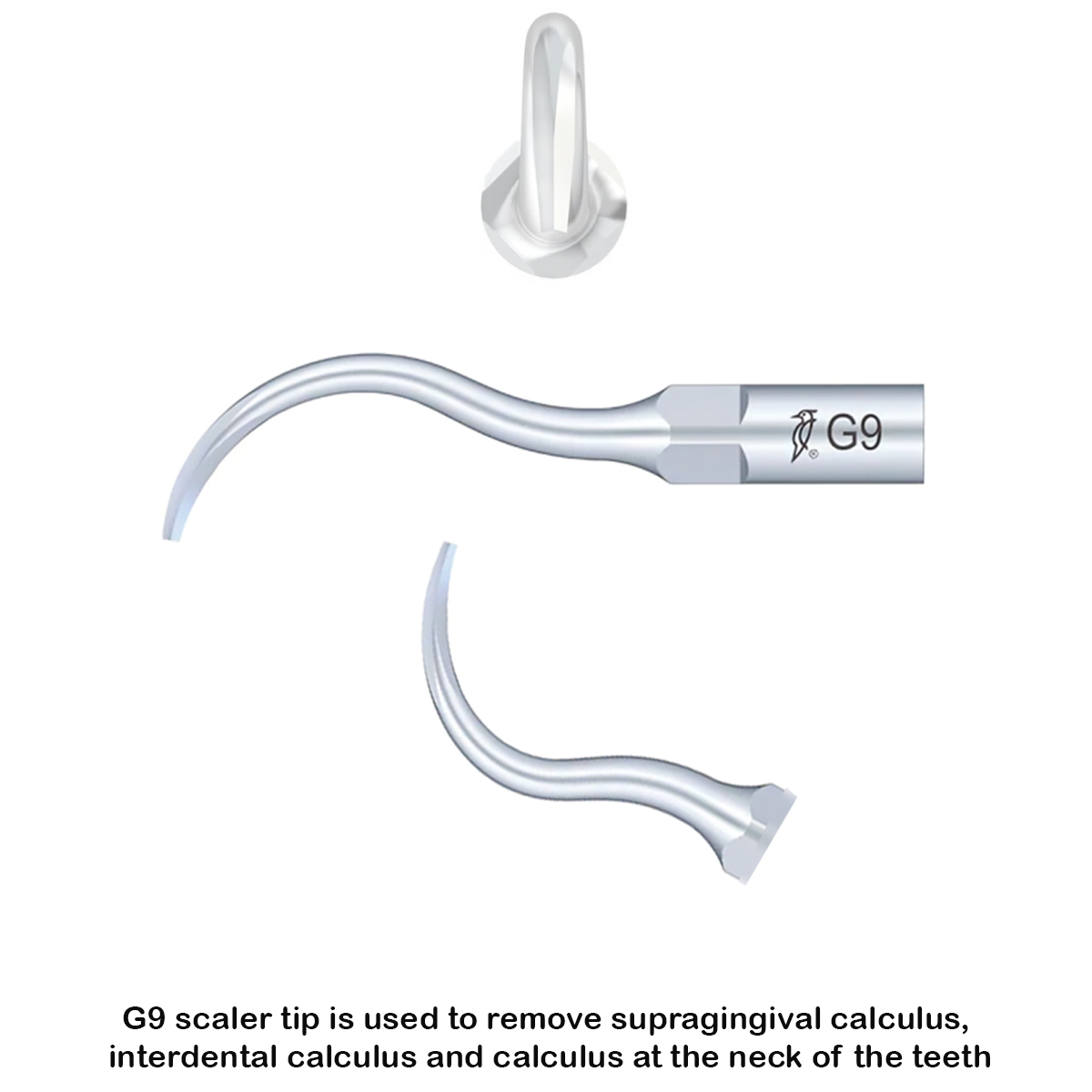 Woodpecker Scaler Tip G9 for UDS & EMS Scalers