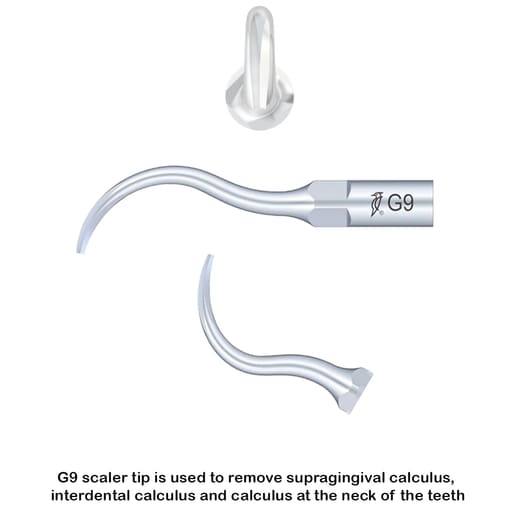Woodpecker Scaler Tip G9 for UDS & EMS Scalers