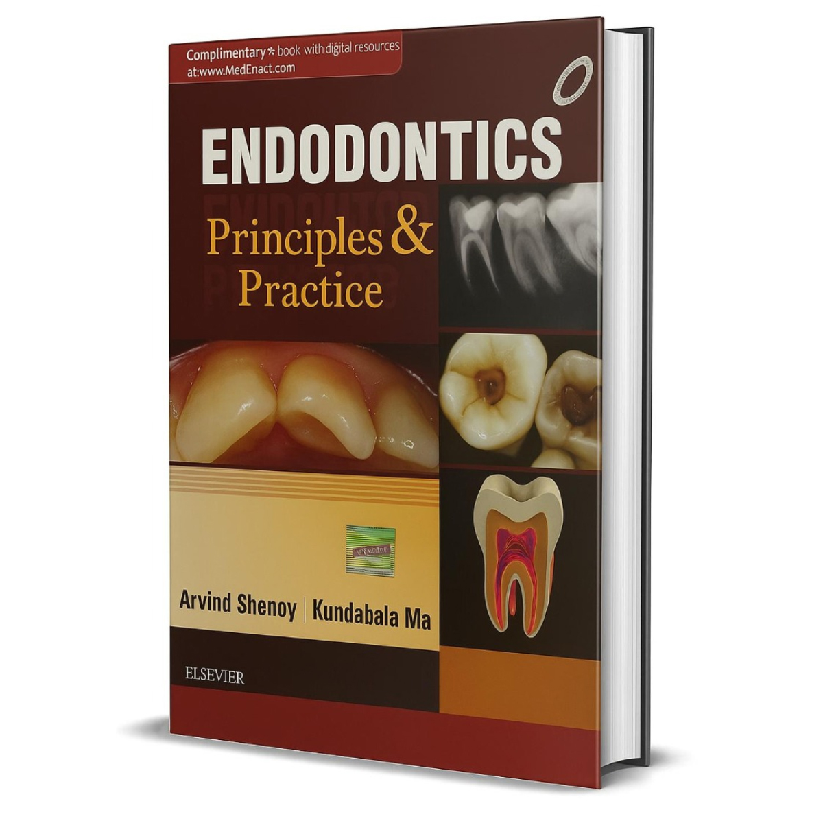 Endodontics: Principles And Practice (ISBN - 244487)