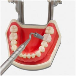 HN Dental Compo-Sculpt Composite Silicone Brush - 6