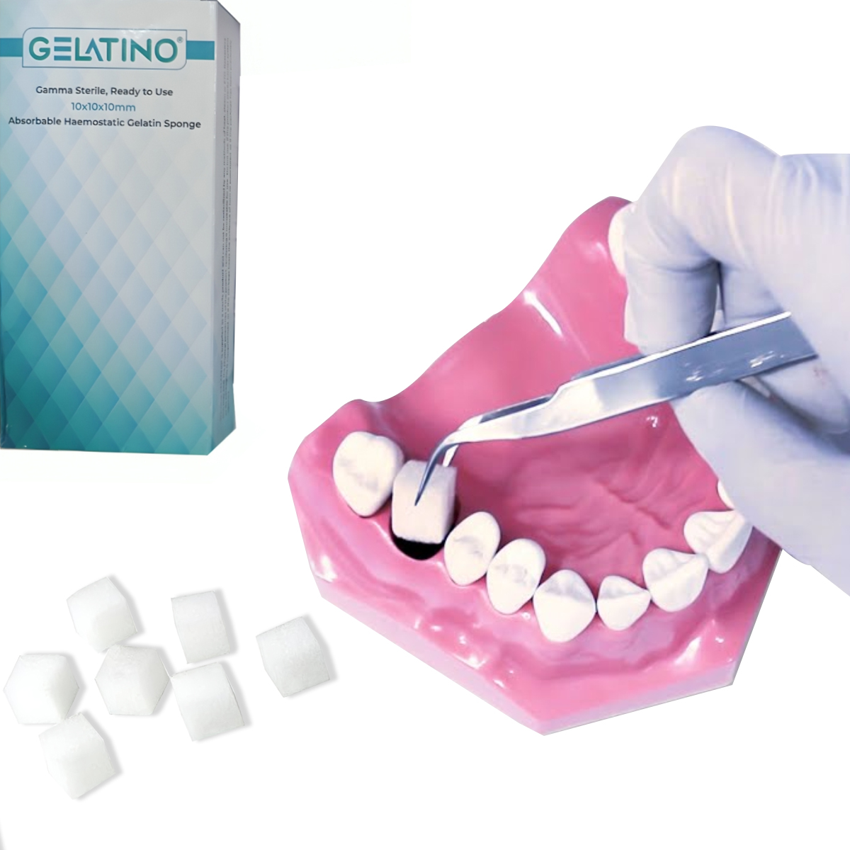 Gelatino Dental Sponge(10x10x10mm)(Pack of 32)