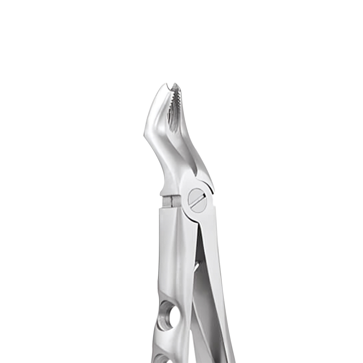 GDC Extraction Forceps Upper Molars Pedo Premium (FX6CP)