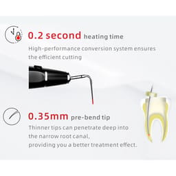 Woodpecker Fi-P Obturation Pen Tips (Pack of 1) - 6