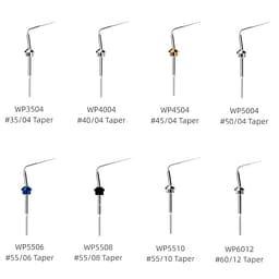 Woodpecker Fi-P Obturation Pen Tips (Pack of 1) - 3