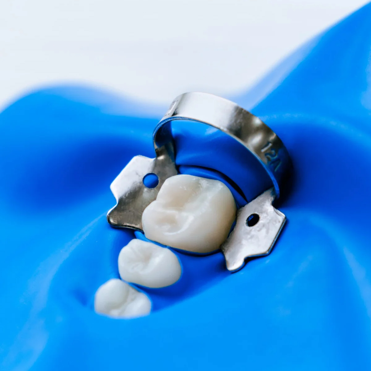 GDC Rubber Dam Clamp Adult 12a (Rdc12a)