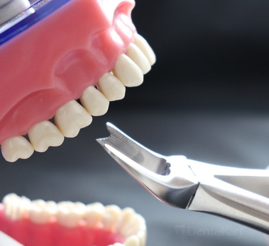 GDC Extraction Forceps Upper Molars Right Standard - (FX89S)