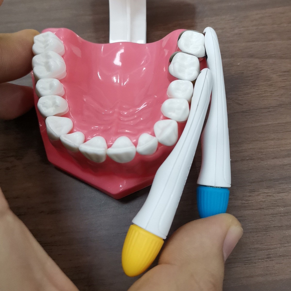 Astek Pro-Matrix Bands 10/pk