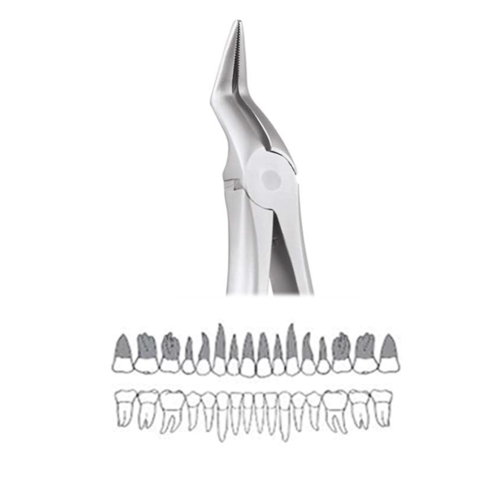 GDC Extraction Forceps Upper Roots - 197.11 Secure (SFX197.11)