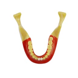 iDENTical Ortho Implant Practice with Soft Tissue Model M2031 - 6