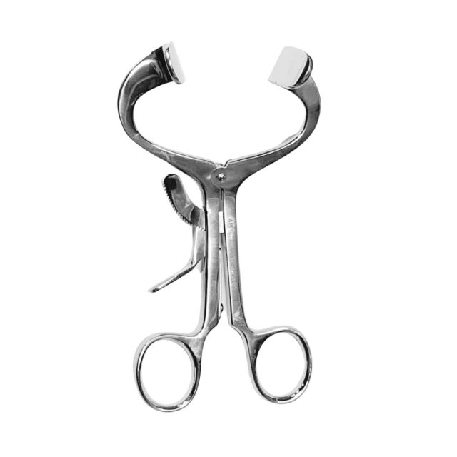 API Mouth Gag - Molt