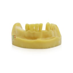  iDENTical Mandibular Implant Practicing Model M2028 - 3