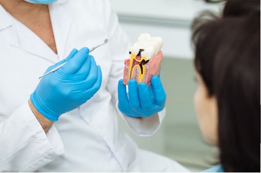 iDENTical Caries V/S Healthy Teeth Model M4021