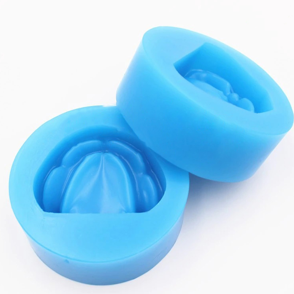 iDENTical Complete Edentulous Cast Moulds -Blue M8018