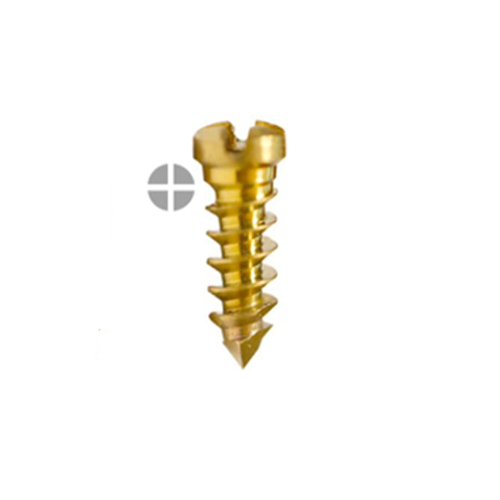 SK Surgicals Titanium Emergency Screws