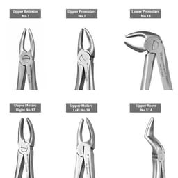 Waldent Extraction Forceps Kit Set of 12 (K1/1)      - 17