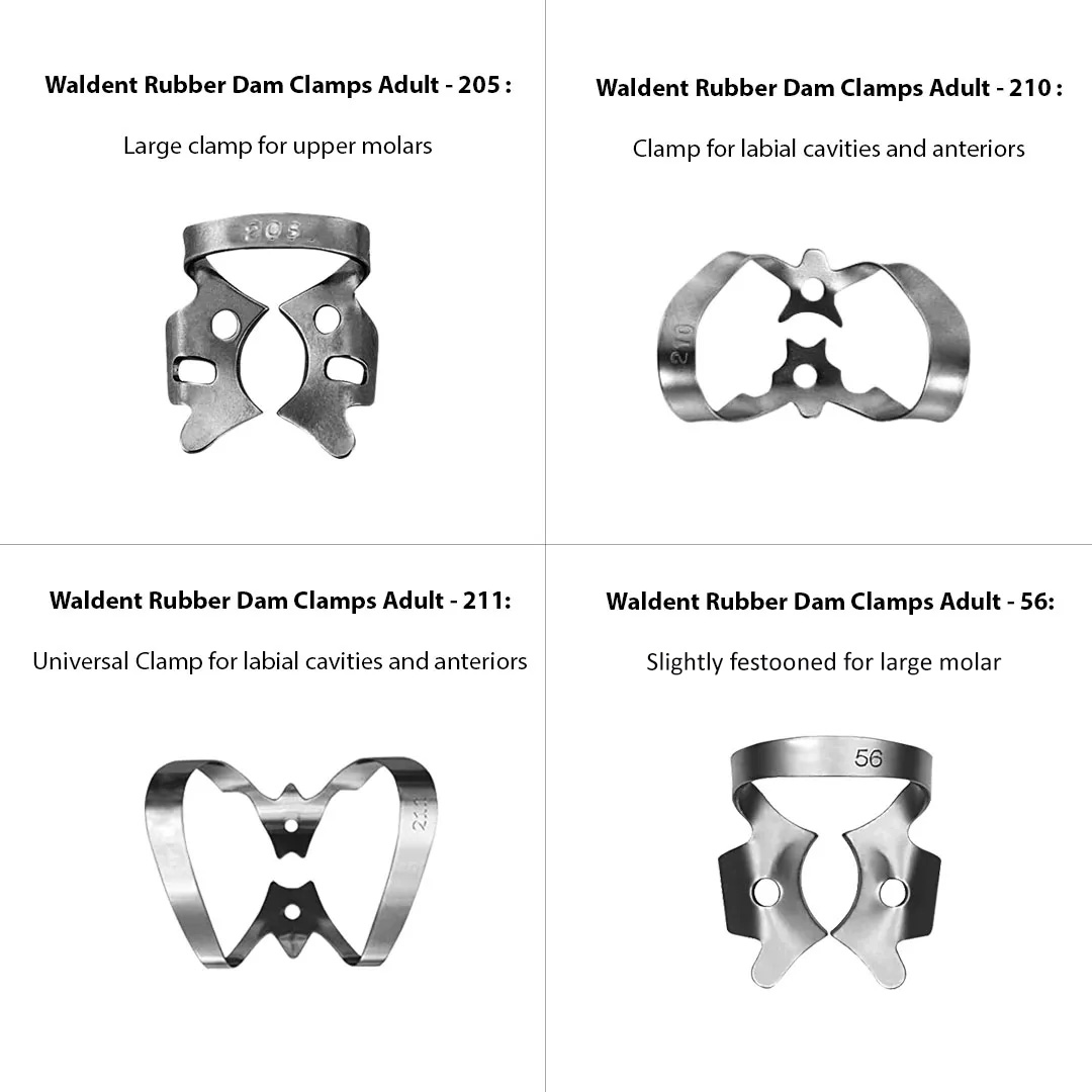 Waldent Rubber Dam Clamps - Adult