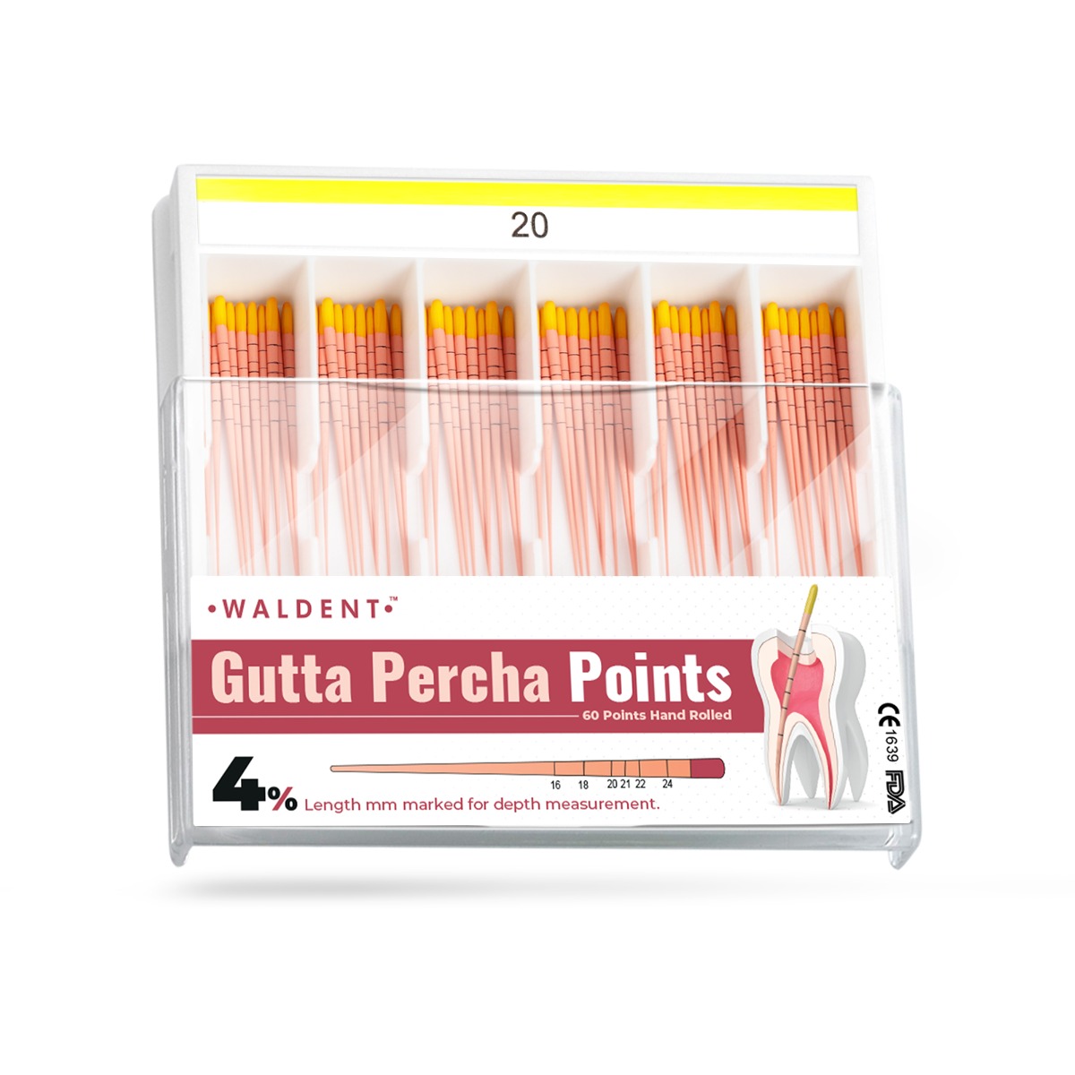 Waldent Gutta Percha Points 4% (Length Marked) #20