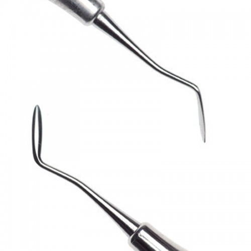 GDC Carver Hollenback - 4 (CVHL3S)