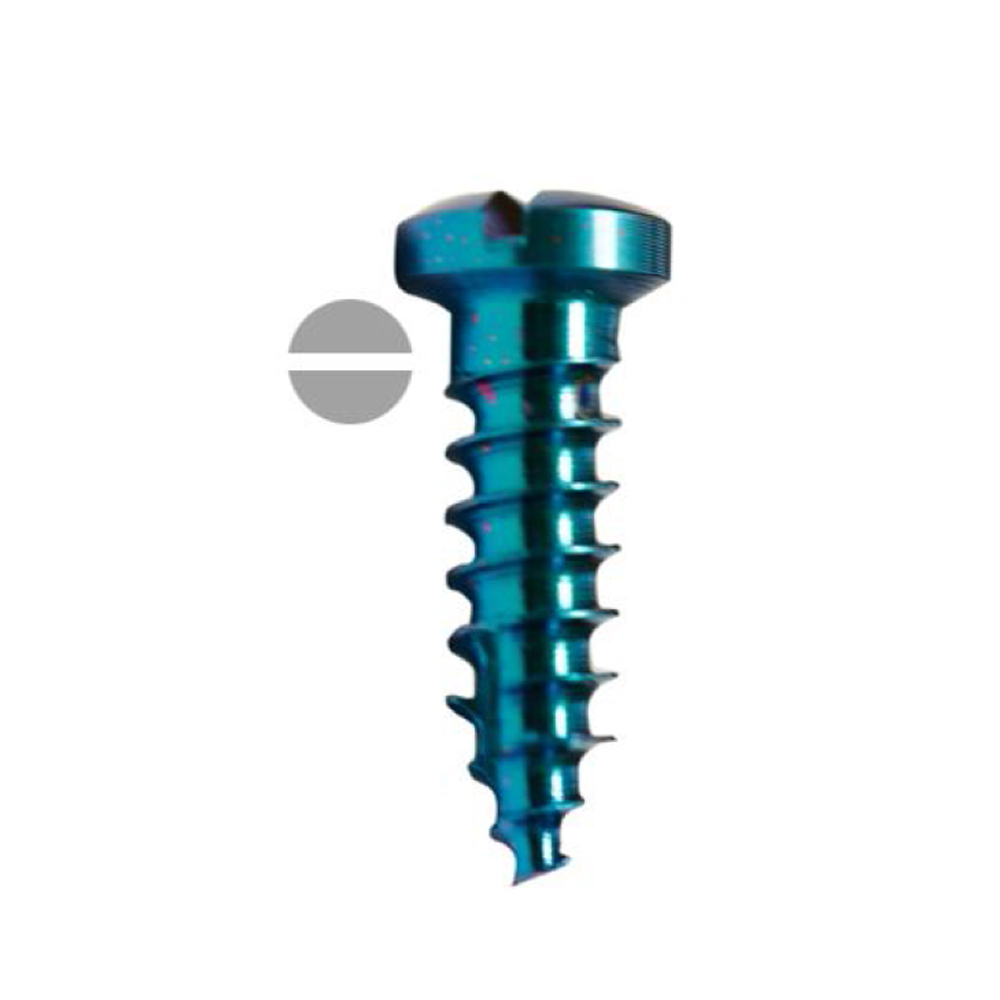 SK Surgicals Titanium Single Slot Screws - 2.5mm