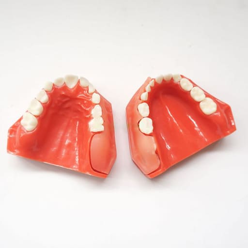 iDENTical Pediatric Development Model Age 5-9 M7012