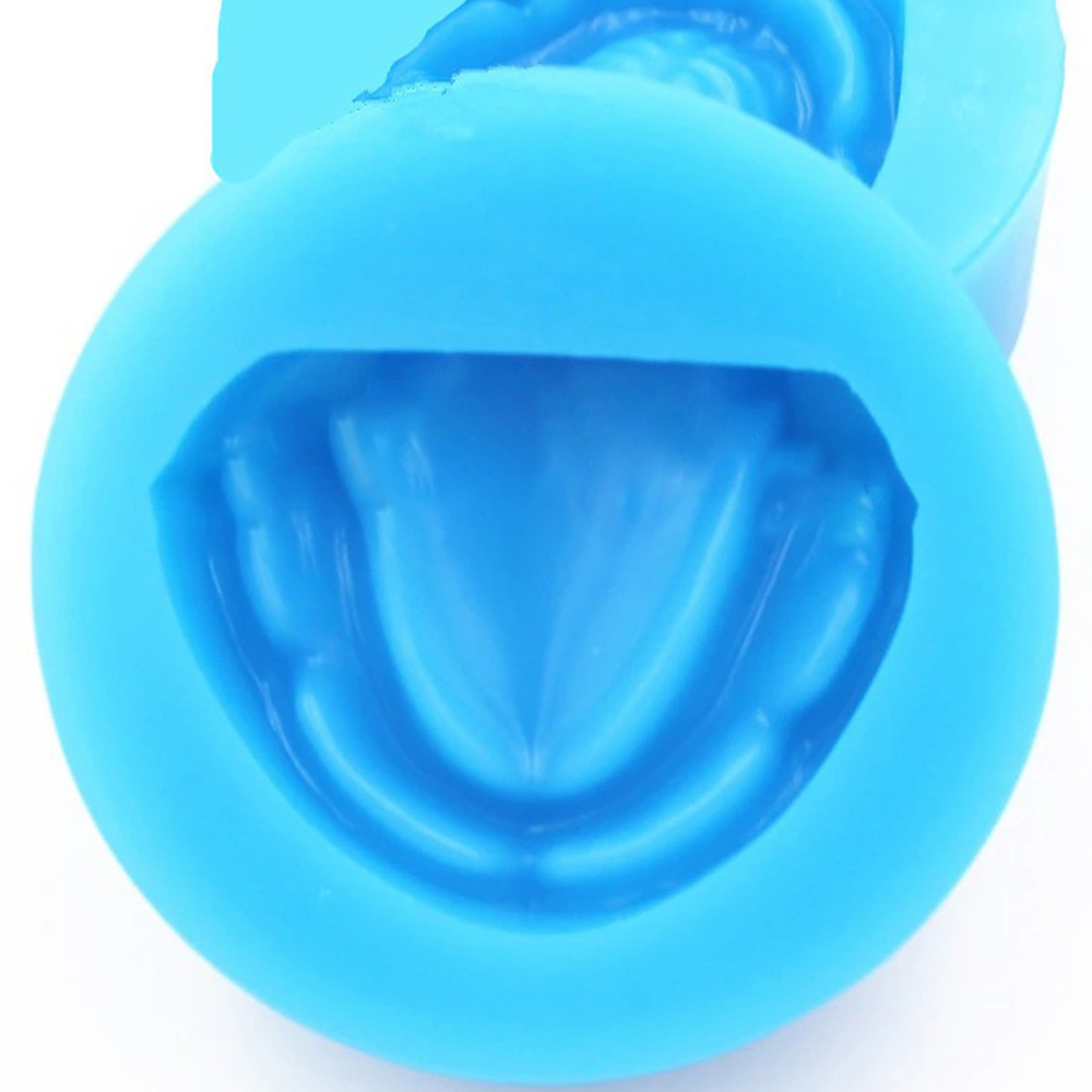 iDENTical Complete Edentulous Cast Moulds -Blue M8018