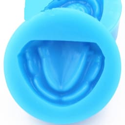 iDENTical Complete Edentulous Cast Moulds -Blue M8018 - 5