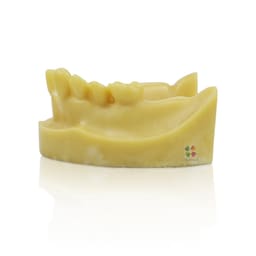  iDENTical Mandibular Implant Practicing Model M2028 - 4